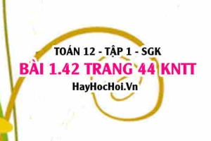Bài 1.42 trang 44 Toán 12 tập 1 Kết nối tri thức